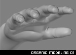 Organic Models 01